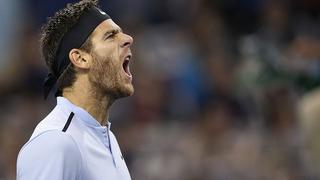 El trabajo valió la pena: Del Potro regresó al Top 20 del ranking ATP por primera vez desde hace tres años