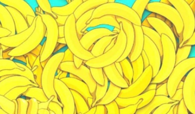 Ubica ya mismo y aquí a la serpiente entre las bananas en 5 segundos. (Fotos: Facebook)