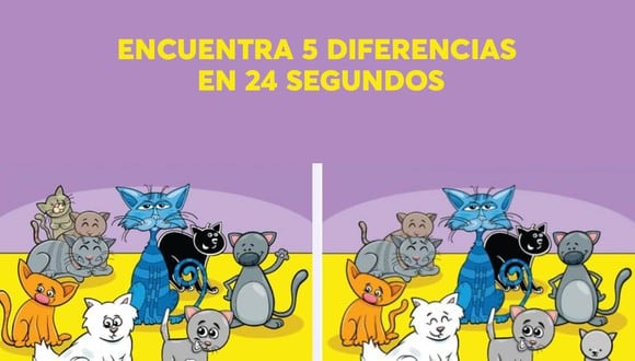 Hay 5 diferencias entre las imágenes de los dos gatos. ¿Puedes identificarlas a todas en 24 segundos? (Foto: Spatial Learners)