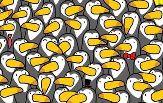 Halla al pingüino escondido entre los tucanes de la imagen que es tendencia en redes sociales (Foto: Facebook).