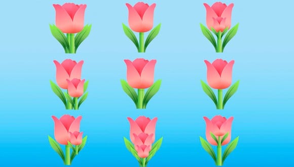 ¿Cuántas flores ves en la imagen? Descubre si eres buen obervador con este test viral | Imagen: genial.guru