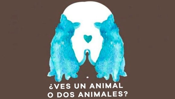Tu respuesta si ves uno o dos animales determina tu personalidad. (Difusión)
