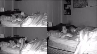¿Tu perro duerme contigo? El viral del chihuahua que hizo esto sobre su dueña y remece las redes [VIDEO]