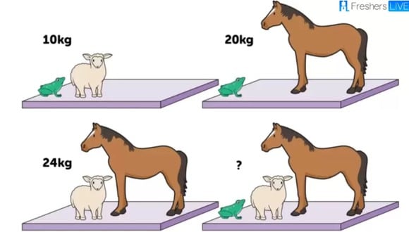 RETO MATEMÁTICO | ¿Puedes adivinar el peso del caballo, la oveja y la rana en 28 segundos? | FresherLive