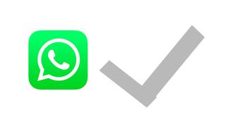 La guía para dejar de recibir mensajes en WhatsApp Plus sin apagar el internet o teléfono