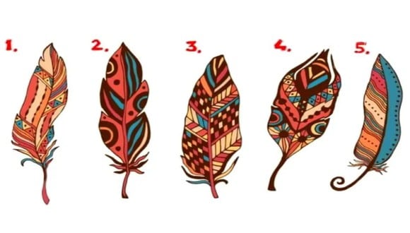 TEST VISUAL | En esta imagen hay cinco tipos de pluma. (Foto: namastest.net)