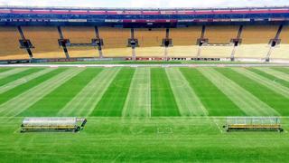 Mira cómo luce el campo donde Perú jugará ante Nueva Zelanda [FOTO]