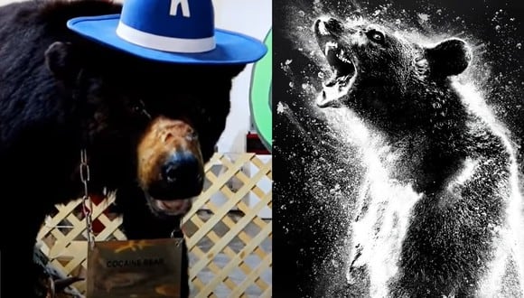 La película "Cocaine Bear" se estrenará en el 2023 (Foto: Daze with Jordan the Lion / YouTube y Brownstone Productions)