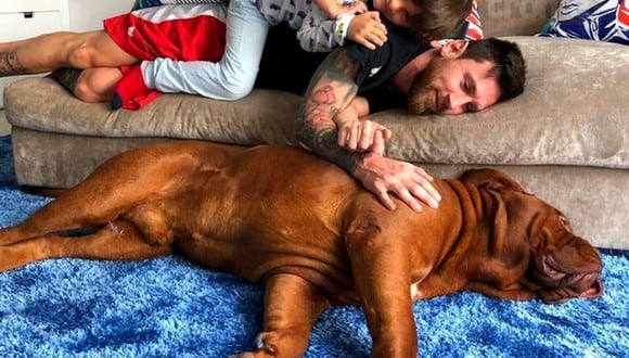 Lionel Messi y Hulk, el perro que le regaló su esposa Antonella Roccuzzo. (Foto: Instagram)