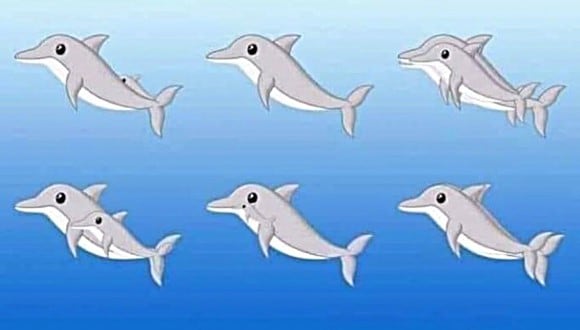 Nuevo test visual que consiste en encontrar el número exacto de delfines que hay en la foto viene causando furor en redes sociales. (Foto: Twitter/Bocetarey)