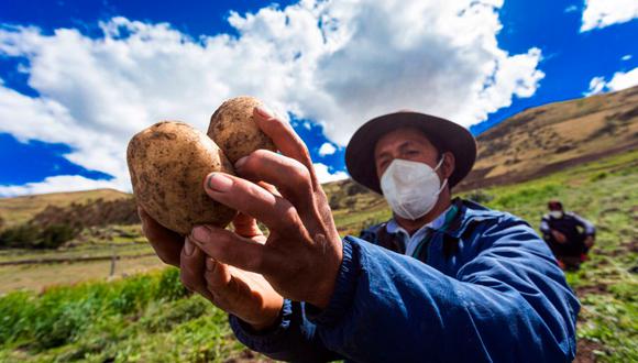Conoce todos los detalles sobre el Bono Wanuchay 2022, subsidio que ayuda a pequeños agricultores. (Foto: Andina)