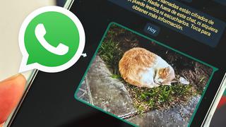 WhatsApp: cómo espiar qué fotos envió tu pareja sin que se entere