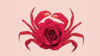 ¿Rosas o cangrejo? El test visual que te hará descubrir si eres una persona muy astuta