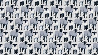 ¿Logras verlos? Halla a los 6 lobos disfrazados de ovejas en el reto viral que remece las redes [FOTO]