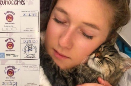 La ciudadana belga adoptó al minino con ayuda de una organización llamada Catfetin Cat Café de Cusco. (Foto: Facebook de Catfetin Cat Café)