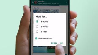 Truco de WhatsApp: conoce cómo personalizar las notificaciones en Android o iOS