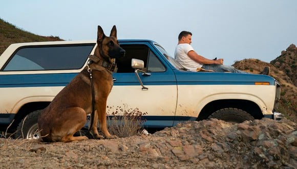Dog: un viaje salvaje es una de las películas con perros como protagonistas que te va a encantar. (Foto: oficial)