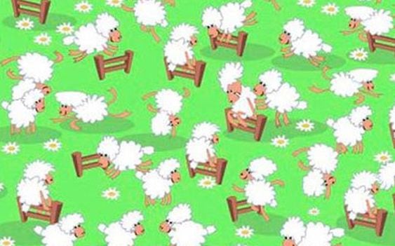 Ubica a la gallina escondida o camuflada en el desafío viral de las ovejas. (CienRadios)