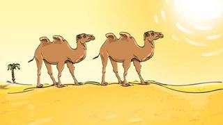 Resuelve este reto visual en siete segundos: el viral los camellos tiene un error, ubícalo