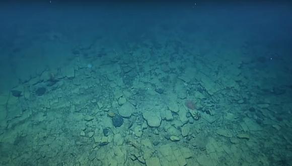 El curioso camino de baldosas amarillas hallado en las profundidades del Pacífico. (Captura de Youtube)