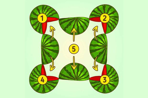 There are a total of 5 watermelons as shown in the following image.  (Photo: Brightside.me)