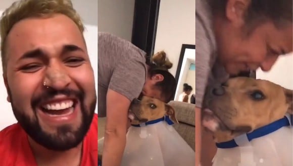 Un video viral muestra el error que cometió una mujer al colocarle el collar isabelino a su perro. | Crédito: @triannacamilo / TikTok.