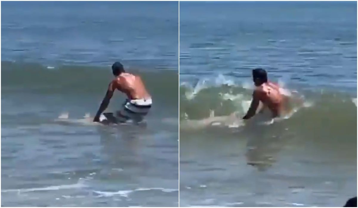 Hombre capturó a un tiburón con sus propias manos en una playa en Estados Unidos. (Captura/Twitter)
