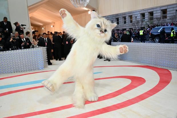 El disfraz de gato se robó la atención del público en la MET Gala (Foto: AFP)