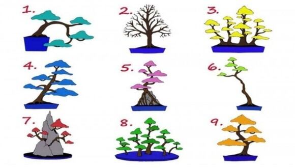 El test viral del árbol que determina el trabajo ideal para ti. (Difusión)
