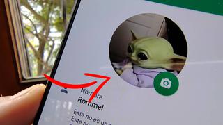 Así puedes poner un video en tu foto de perfil de WhatsApp para presumirlo