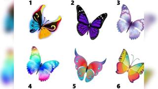 Test viral de personalidad: seis mariposas y la primera que ves define detalles ocultos en cuanto a ti