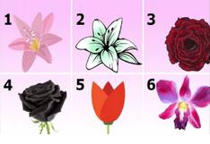 Tu verdadera personalidad será revelada cuando digas cuál es la flor que más te gusta