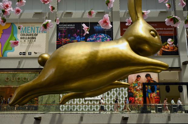 Este 2023 se celebra el año del Conejo (Foto: AFP)