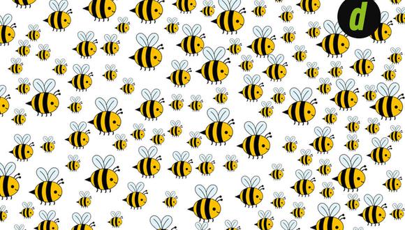 En esta imagen hay una abeja diferente al resto y tienes que hallarla. (Foto: depor.com)
