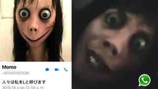 Hizo una videollamada de WhatsApp a 'Momo' y este fue el resultado [VIDEO]