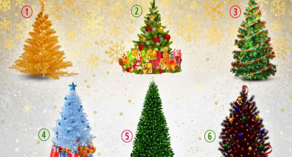 Visual test |  Tell us what your favorite Christmas tree is and you’ll find out what kind of person you are  MEXICO