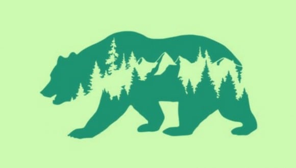 En esta imagen hay dos opciones: el bosque y el oso. ¿Qué ves primero? (Foto: MDZ Online)