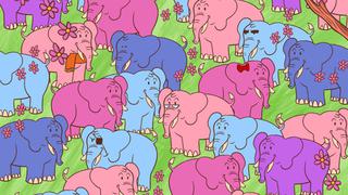 El 95% falló al intentar resolver el acertijo visual: encuentra el corazón entre los elefantes