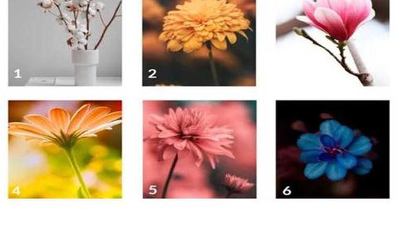 Elige una de las flores y descubre qué te depara el futuro gracias a este test de personalidad (Foto: Facebook).