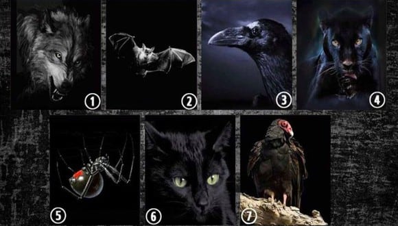 Conoce el lado más ‘dark’ de tu forma de ser con solo escoger uno de los animales. (Foto: Facebook/Mdzol)