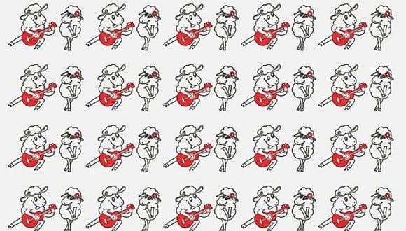 El acertijo que se ha vuelto viral en las redes sociales: hallar la pareja de ovejas distintas al resto en menos de 20 segundos (Foto: MDZ Online)