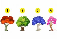 Podrás recibir información sobre tu personalidad si escoges un árbol