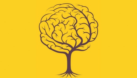 Esta imagen te muestra dos opciones: el árbol y el cerebro. ¿Qué viste primero? (Foto: MDZ Online)