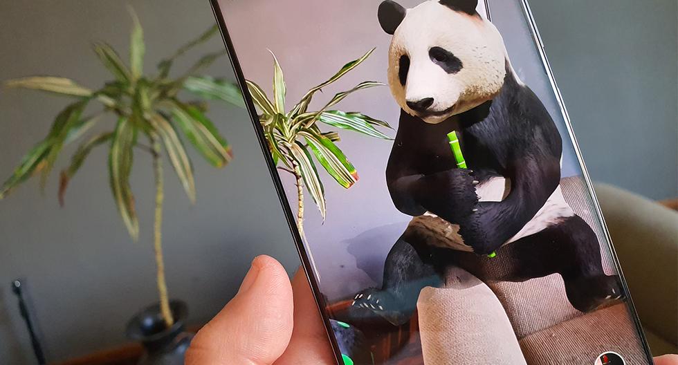 Animales 3D de Google: cómo grabarlos mientras los ves