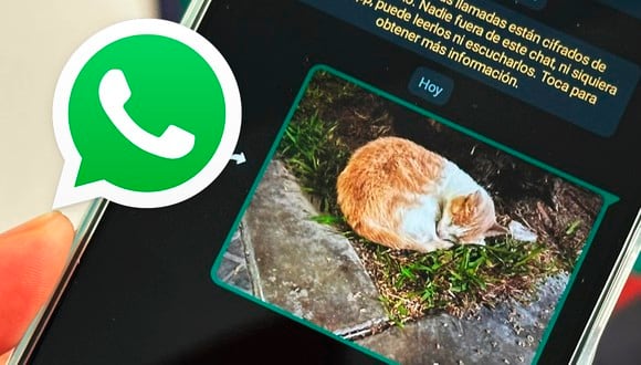 De esta manera podrás saber qué fotos envió tu pareja por WhatsApp sin que se entere. (Foto: Depor - Rommel Yupanqui)