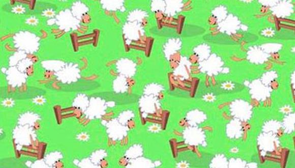 Ubica a la gallina escondida o camuflada en el desafío viral de las ovejas. (CienRadios)