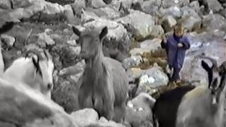 Cuidaba cabras en una montaña llena de lobos: Luka Modric aparece en inédita historia a los 5 años [VIDEO]