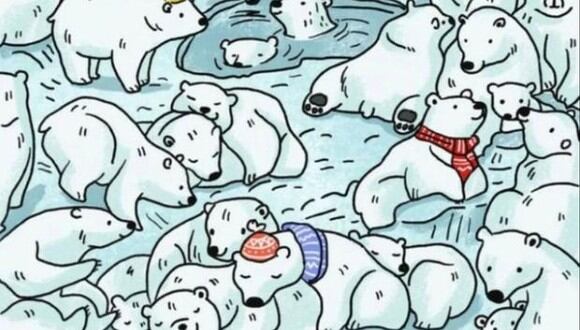 Acertijo visual: encuentra a la foca en la imagen de los osos polares en menos de  5 segundos (Foto: Genial.Guru).