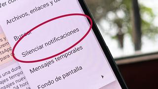 WhatsApp: cómo saber si tu expareja te silenció en la app