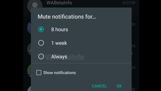 Cómo silenciar para siempre una conversación grupal en WhatsApp